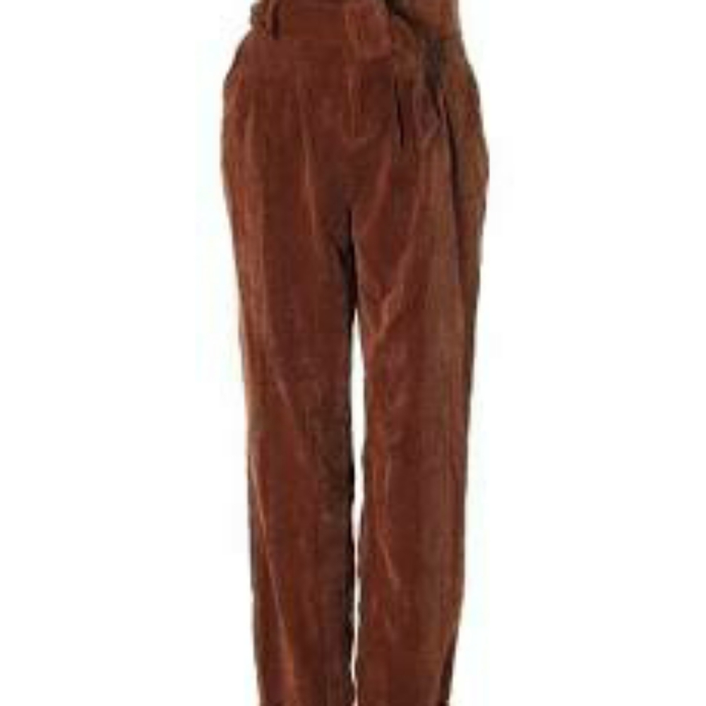 Wild Fable Courduroy paper bag pants size 2